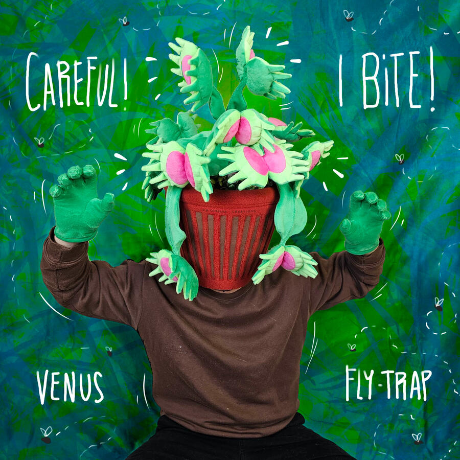 VenusFlyTrap