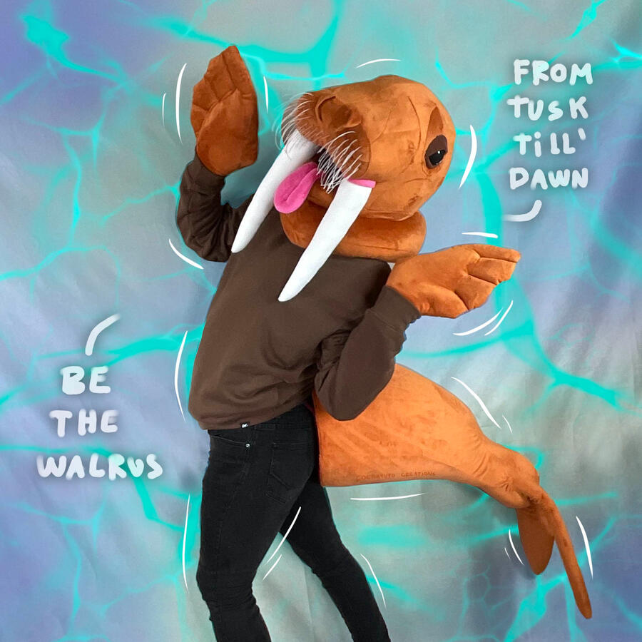 Walrus