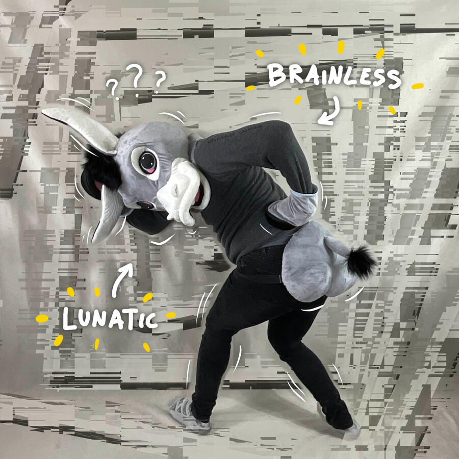 Donkey