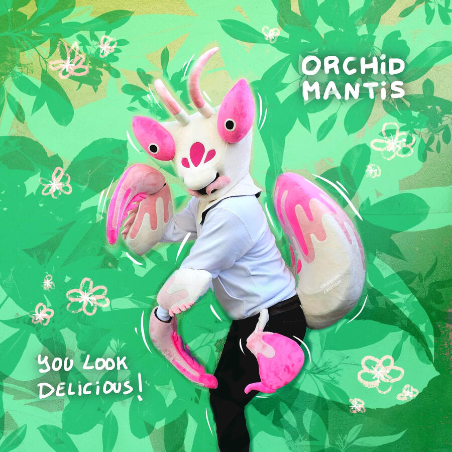 OrchidMantis