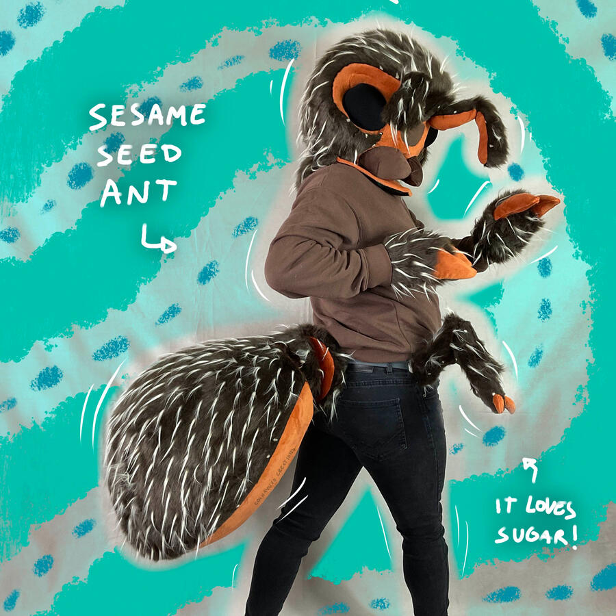 SesameSeedAnt